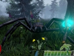 wizard-online-spider