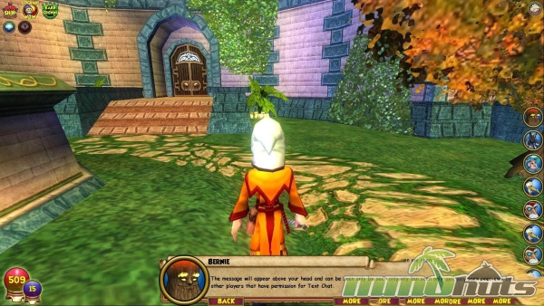 Wizard101-bernie