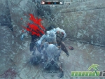 Wolf-Team-Dying-Again