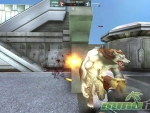 Wolf-Team-Golden-Wolf