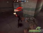Wolf-Team-Kill-Wolf-Meele