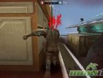 Wolf-Team-Pwned