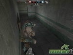 Wolf-Team-Tiles