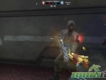Wolf-Team-close-Range