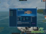 World-of-Fishing-cuttlefish