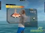 World-of-Fishing-red-seabream