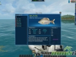 World-of-Fishing-sea-chub