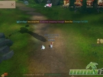 World-of-Kings-grass