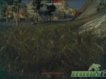 world-of-tanks-grass