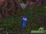 World-of-Warcraft-2015-Newbie