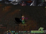 World-of-Warcraft-Kicking