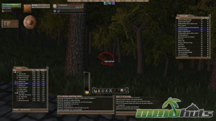 Wurm-Online-aged-brown-bear