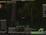 Wurm-Online-aged-brown-bear