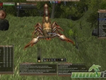 Wurm-Online-attack