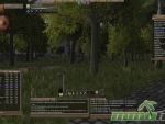Wurm-Online-compass