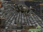 Wurm-Online-dead-spider