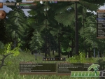 Wurm-Online-forestry