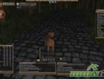 Wurm-Online-tame-dog