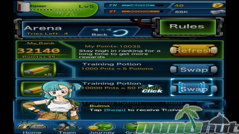 z-fighters-arena
